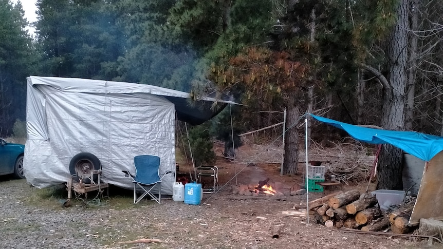 tent, chairs, fire wood and tarp in a victorian forest
