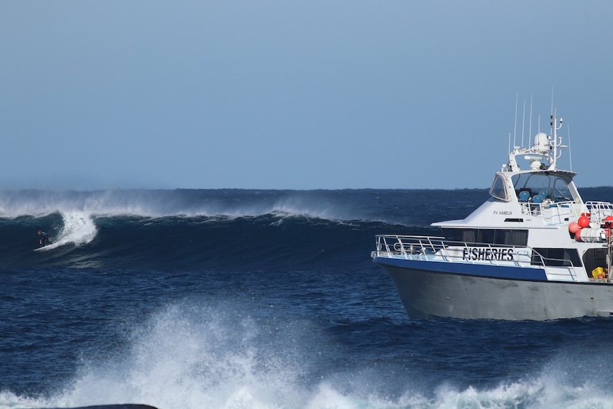 A WA Fisheries vessel overseeing competition at Margaret River