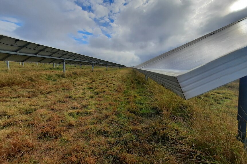 Condensation forms at the edges of solar panels at Tom Warren's farm.