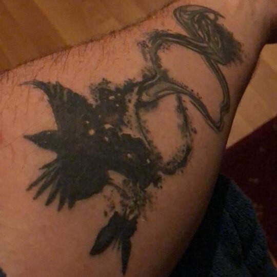 A tattoo of a bird with a long tail on a man's left arm.