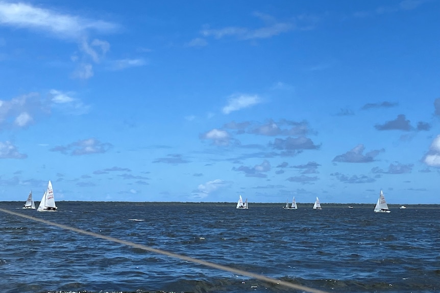 several yachts pictured racing on a stretch of blue ocean