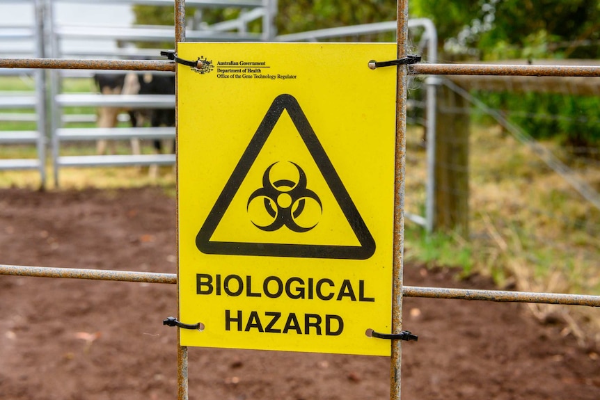A sign on a paddock fence says biological hazard.