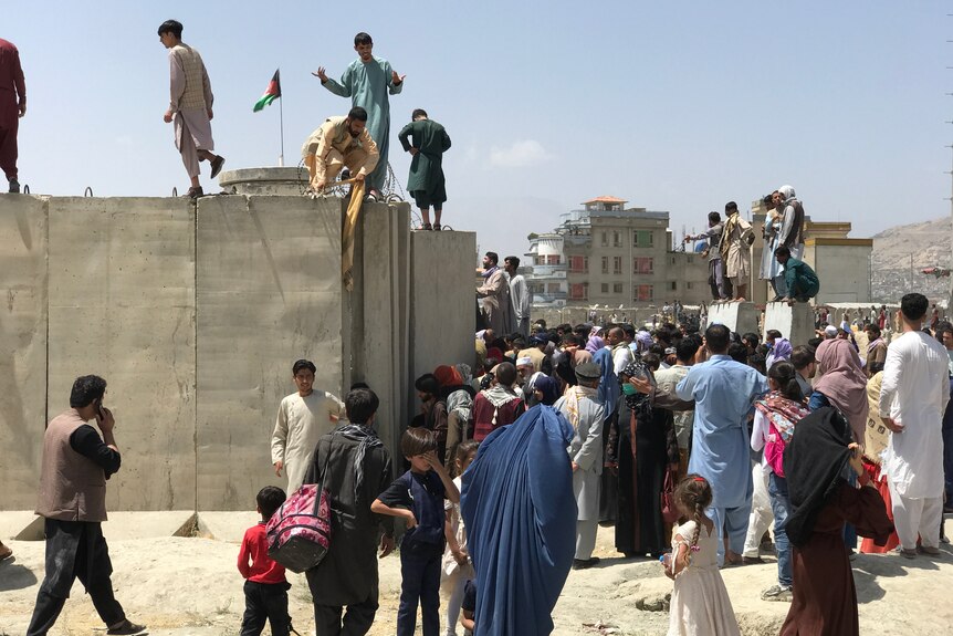 La gente lucha por escalar el muro fronterizo del aeropuerto de Kabul.  Cientos de personas más se paran en la base del muro.