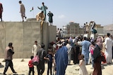 People struggle to climb the boundary wall of Kabul's airport. Hundreds of others stand at the base of the wall.