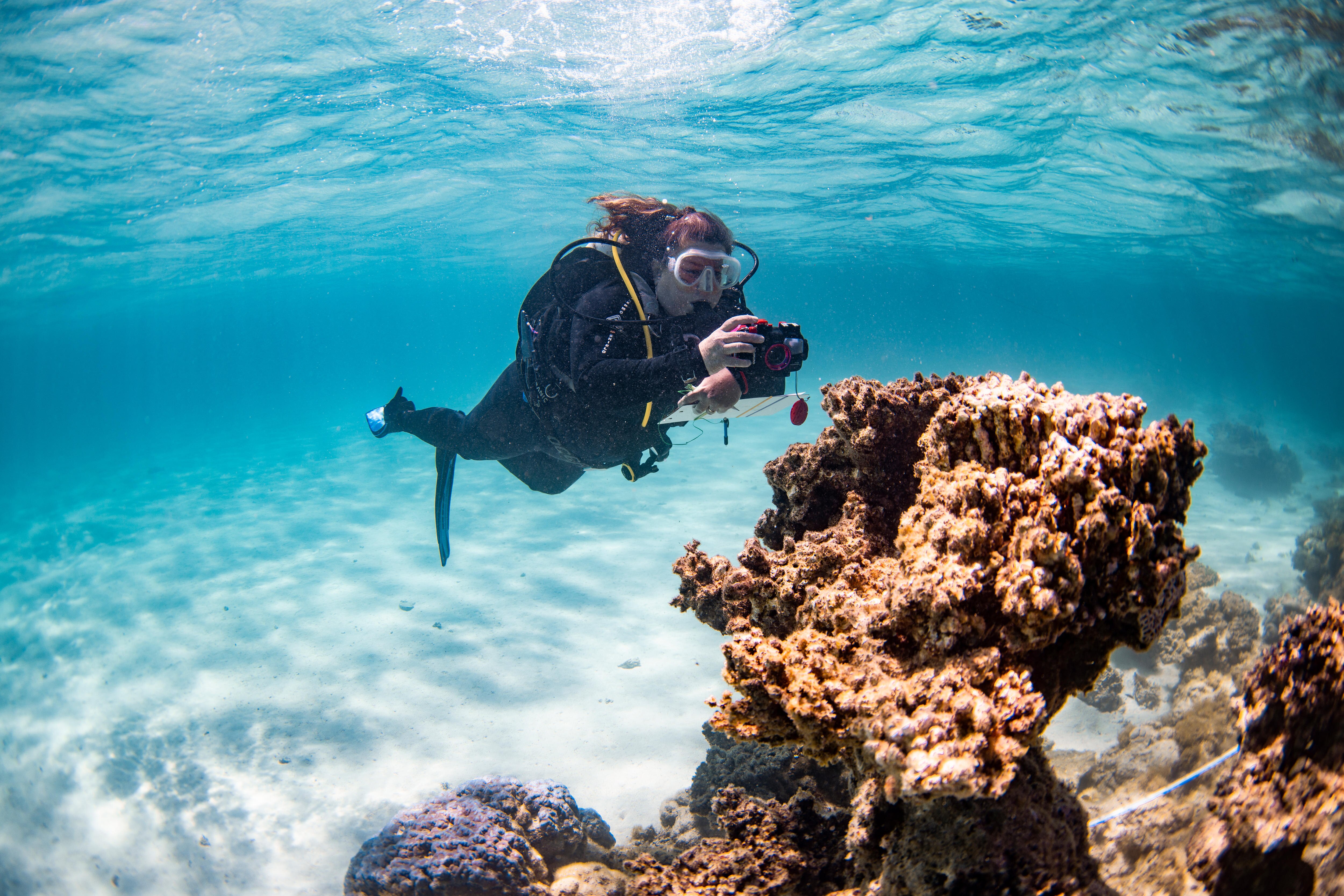 A woman in a wetsuit and scuba diving gear holds up a camera to an underwater coral colony.