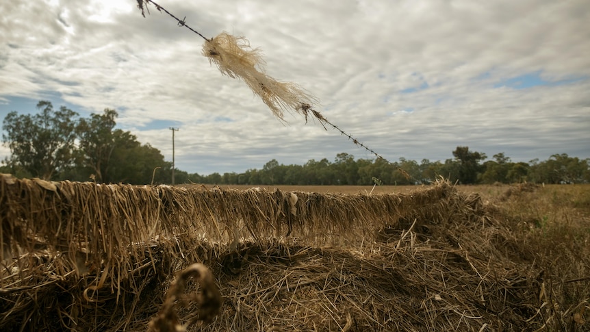 Flood debris