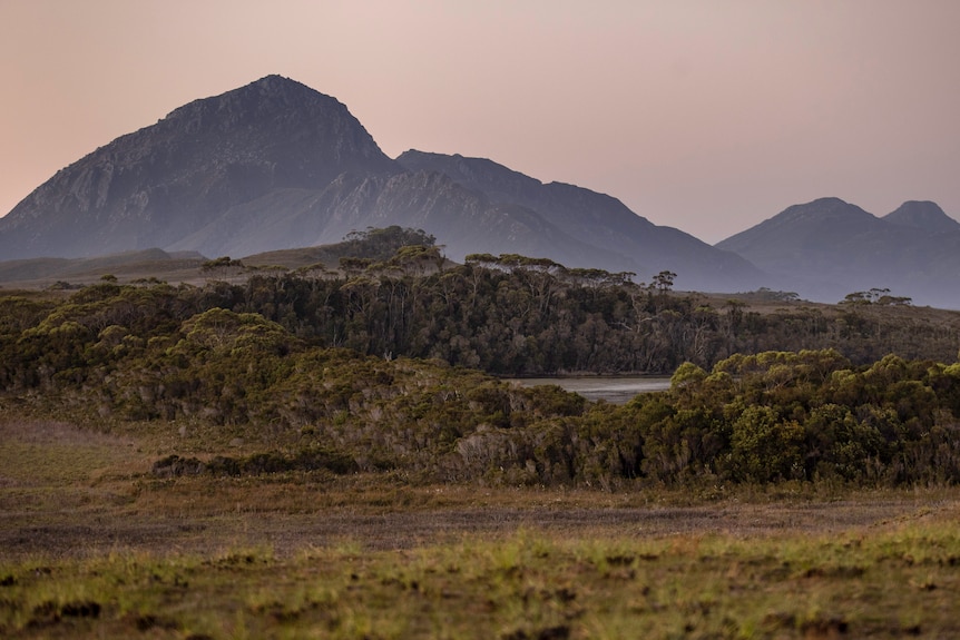 A button grass plain, with trees in the middle distance and mountains in the background under a pink dusk sky