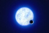 A large blue-tinted star and a smaller black hole orbit each other in close proximity.