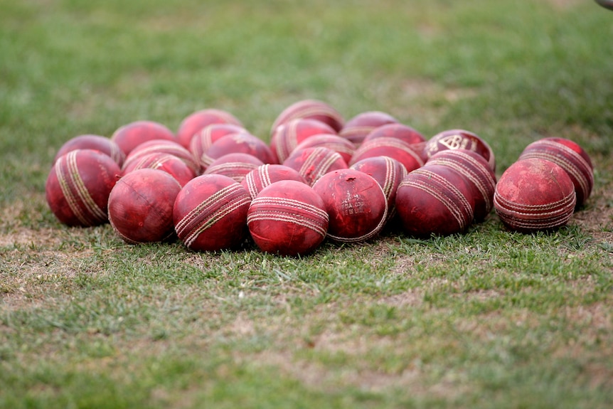 About a dozen English Dukes cricket balls on slighlty green grass