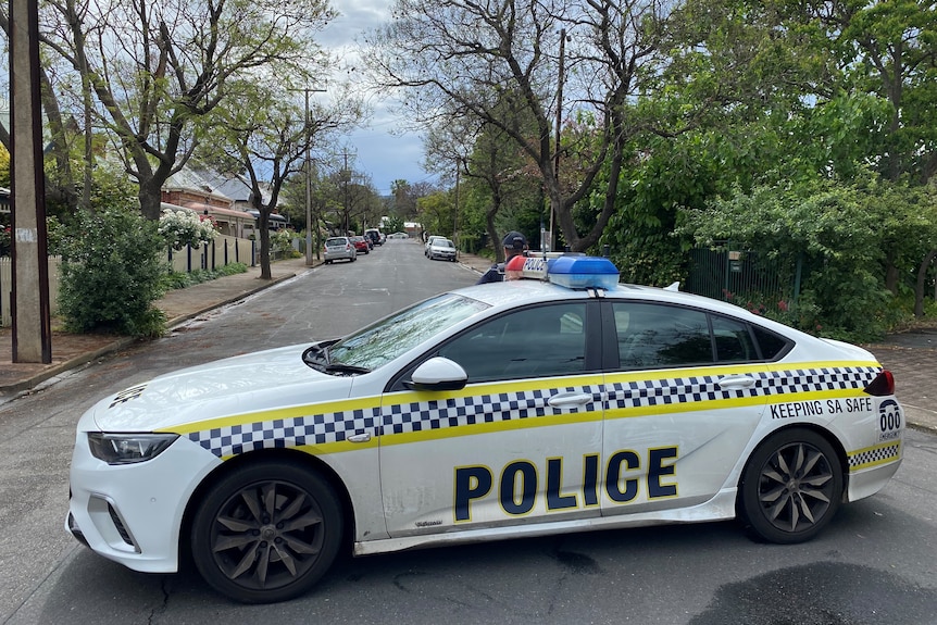 A police car parked across a suburban street