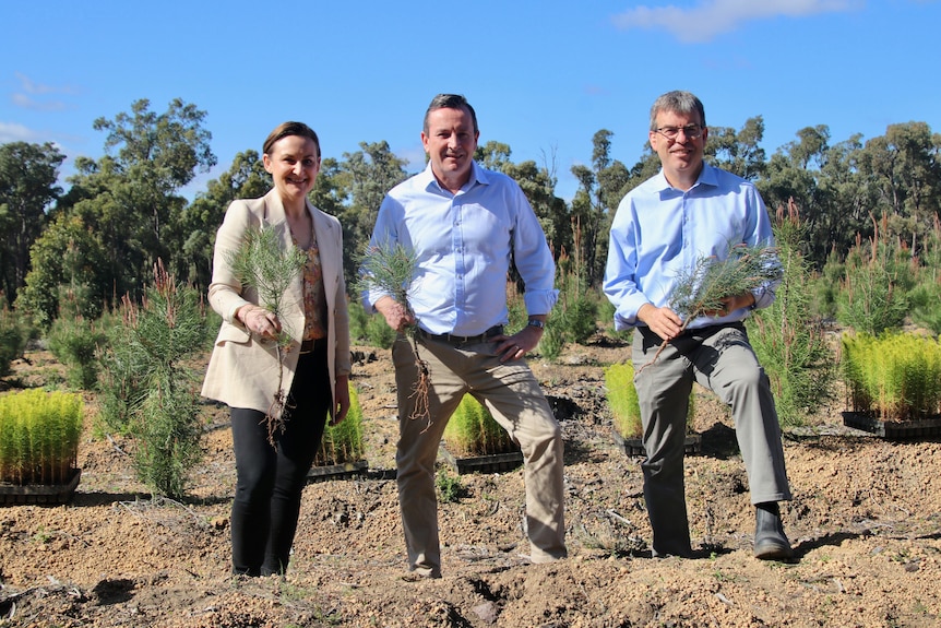 Three people holding tree saplings in a bush setting.