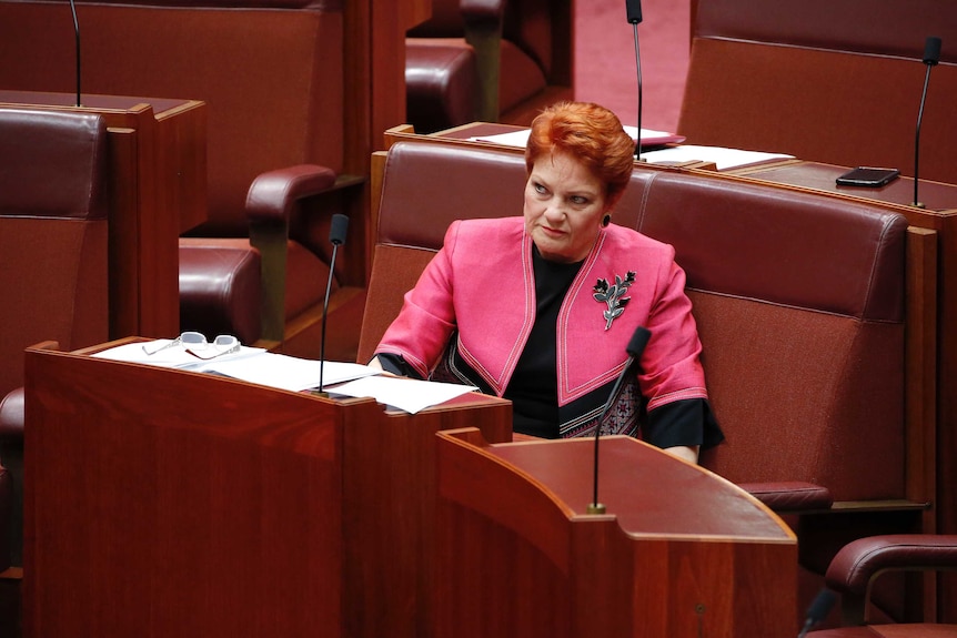 Pauline Hanson sits in the Senate with a stern look on her face