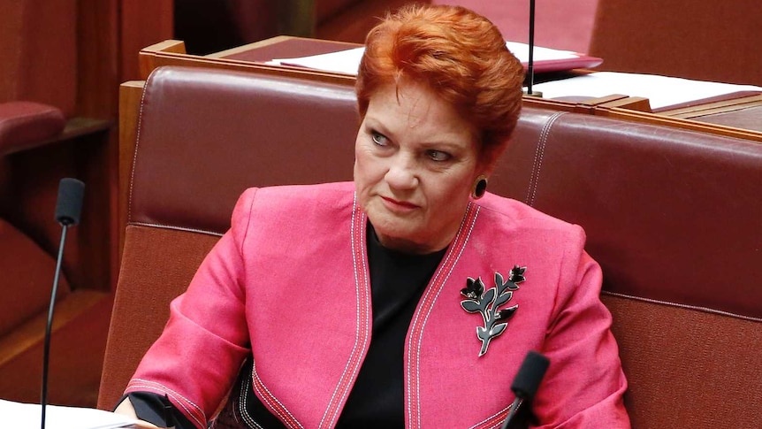 Pauline Hanson sits in the Senate with a stern look on her face