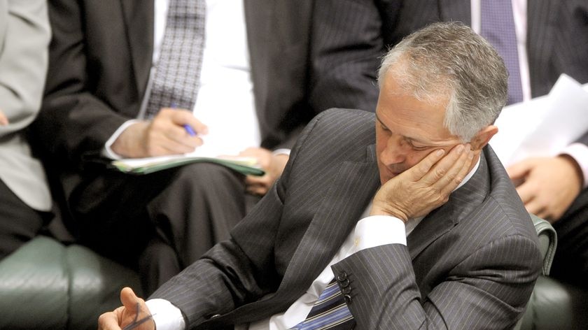 Crushing results: Tony Abbott denies Malcolm Turnbull's leadership is mortally wounded