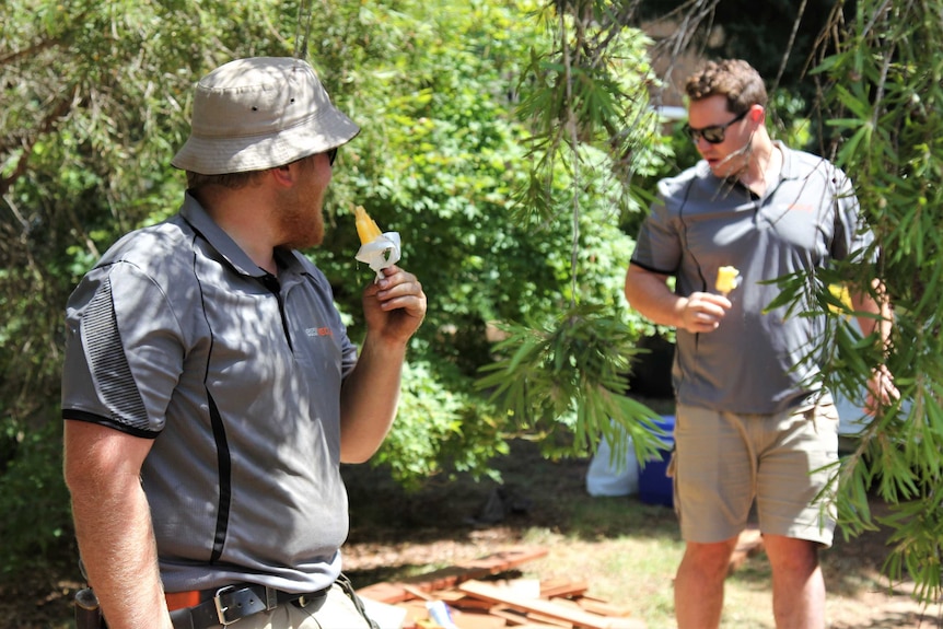 Two tradesman cool off by eating an icy pole while standing on decking worksite outside.