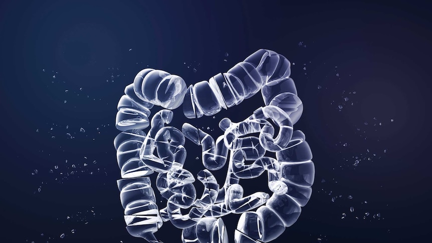 Animated image of a colon