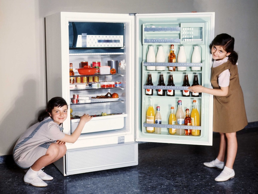 Two children next to a fridge in a 1960s ad