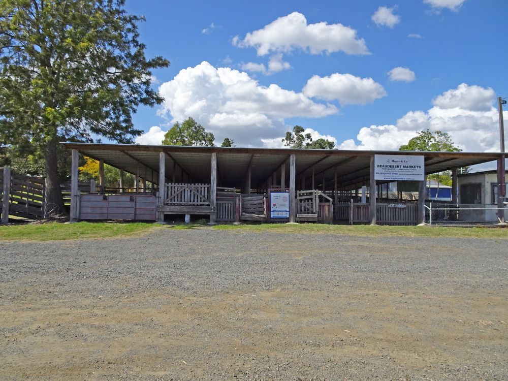 Fight to save centuryold Queensland saleyard continues despite