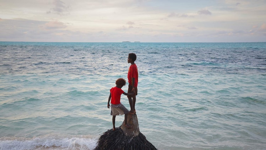 Two boys stand on a small tree stump on the edge of the water.