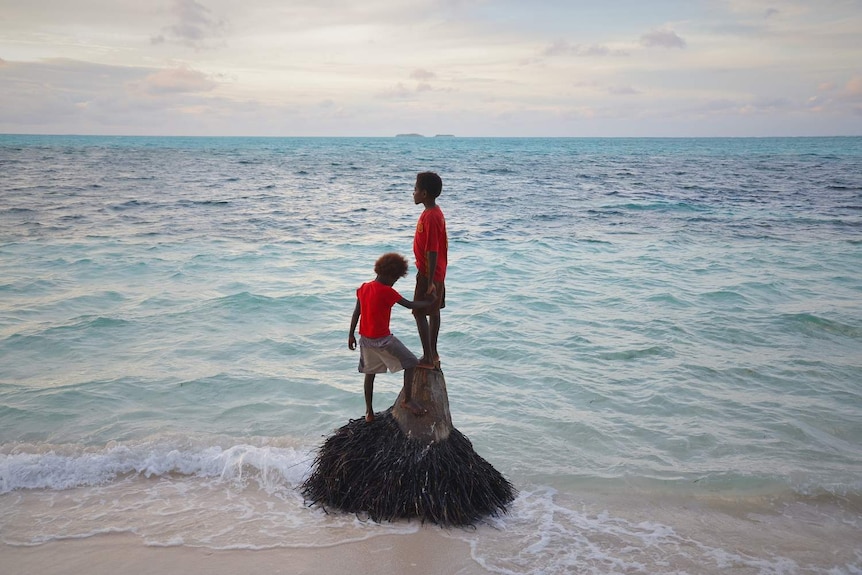 Two boys stand on a small tree stump on the edge of the water.