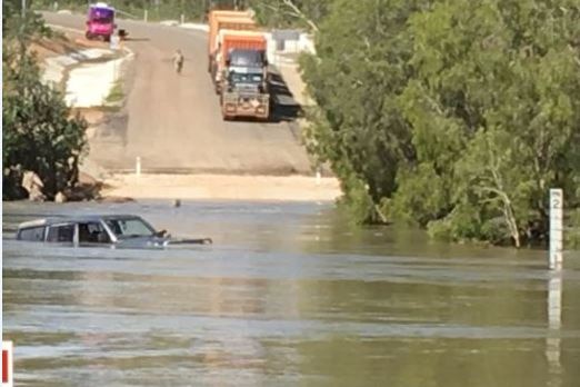 Dogs trapped on bonnet of car in floodwaters in Archer River