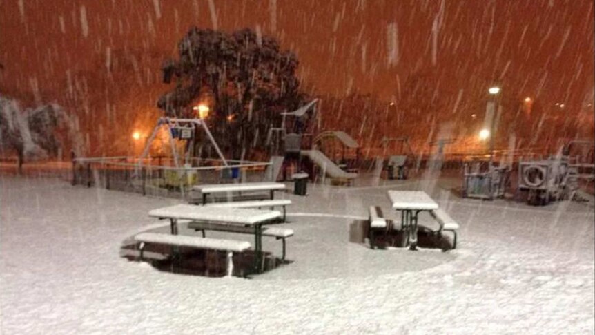 Sue Collins snow in Lithgow