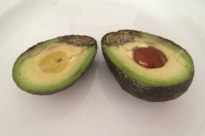 Авокадо внутри фото Авокадо внутри фото