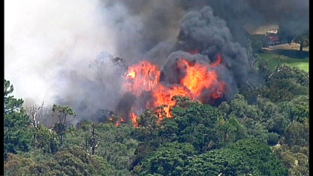 Cheltenham fire brought under control near golf course in Melbourne's ...