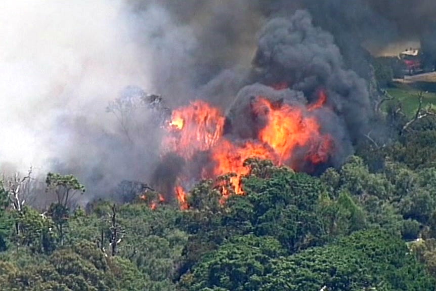 A fire burns out of control in bushland at Cheltenham, in Melbourne's south-east.