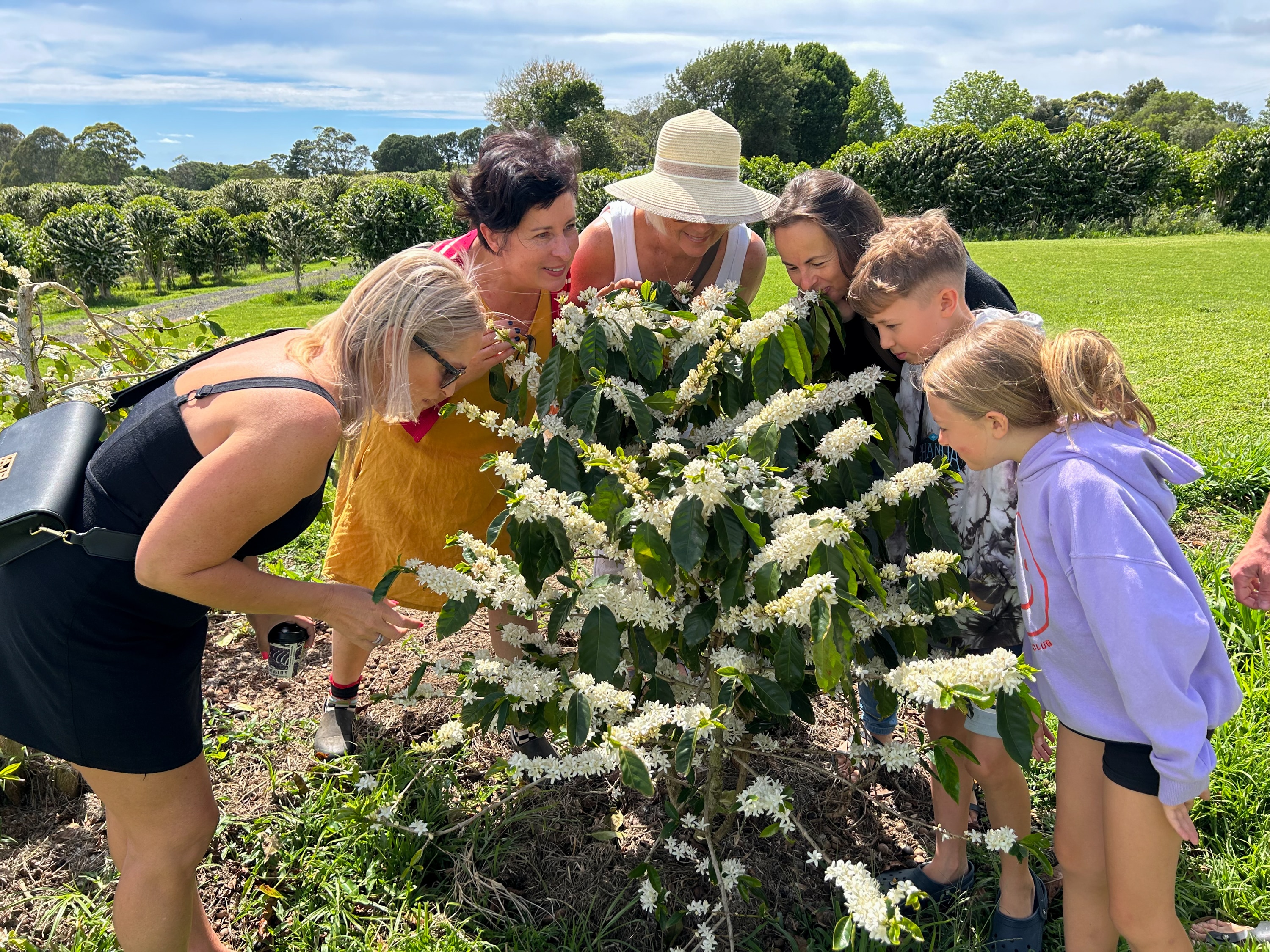 Rebecca Zentveld con un grupo de turistas alrededor de un cafeto con flores blancas.