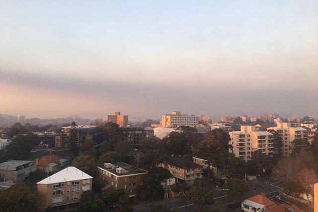 Smoke haze in Cremorne from hazard reduction burns