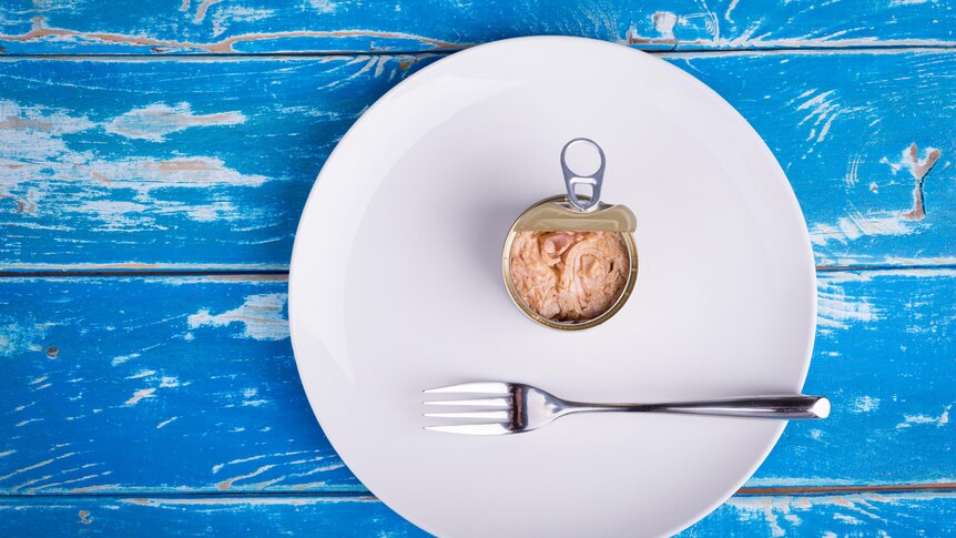 a can of tuna sits on a plate. 