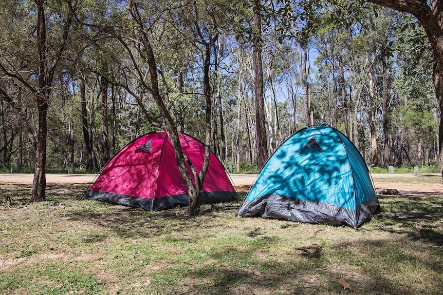 A pink and blue tent sit in the Australia bush