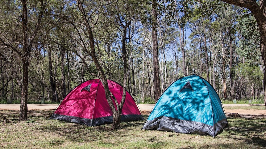 A pink and blue tent sit in the Australia bush