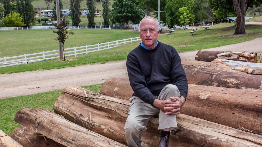 A man sits on top of large eucalyptus logs at a country showground