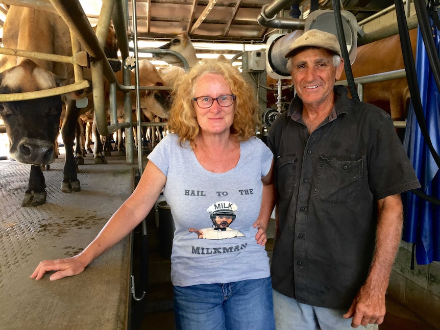 A middle-aged man and woman, smiling, and standing in a dairy shed.