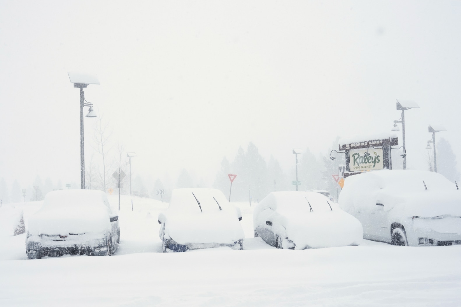 Coches aparcados cubiertos de nieve. 