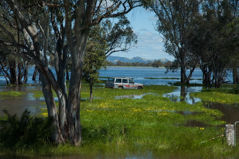 A vehicle in flooded farmland