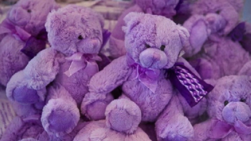 Purple bears from Tasmanian farm