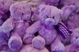Purple bears from Tasmanian farm