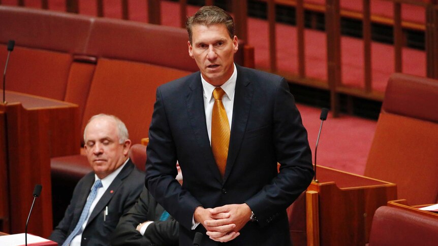 Cory Bernardi stands in the Senate to announce he is resigning from the Liberal Party