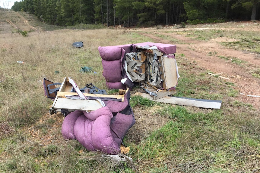 A lounge chair pulled apart and strewn on grass with pine trees in the background