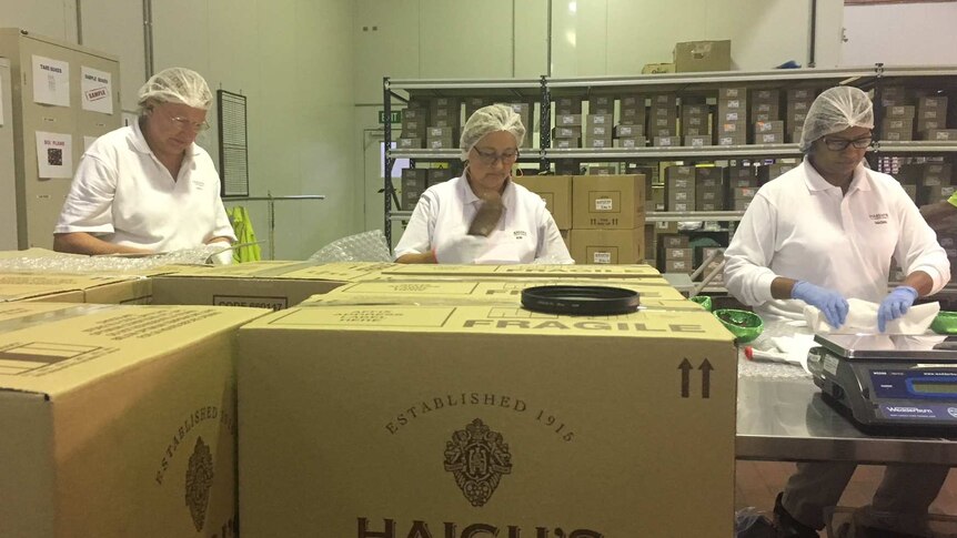 Workers wearing white coats and hairnets loading up boxes at the Haigh's Chocolates factory.