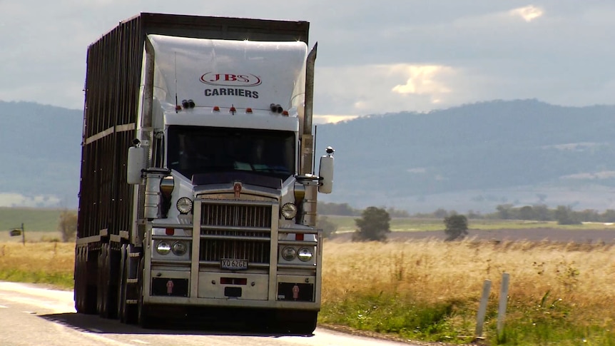 Un camion avec le nom 'JBS Carriers' dessus, roule sur une route dans une zone régionale.