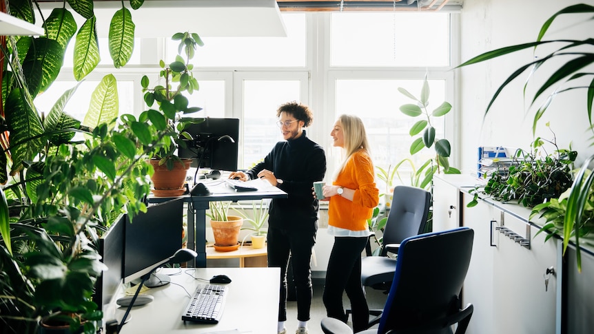 Two people stand in a brightly lit office at a standing desk