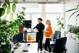 Two people stand in a brightly lit office at a standing desk