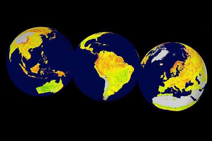Global map showing sensitivity of vegetation to climate