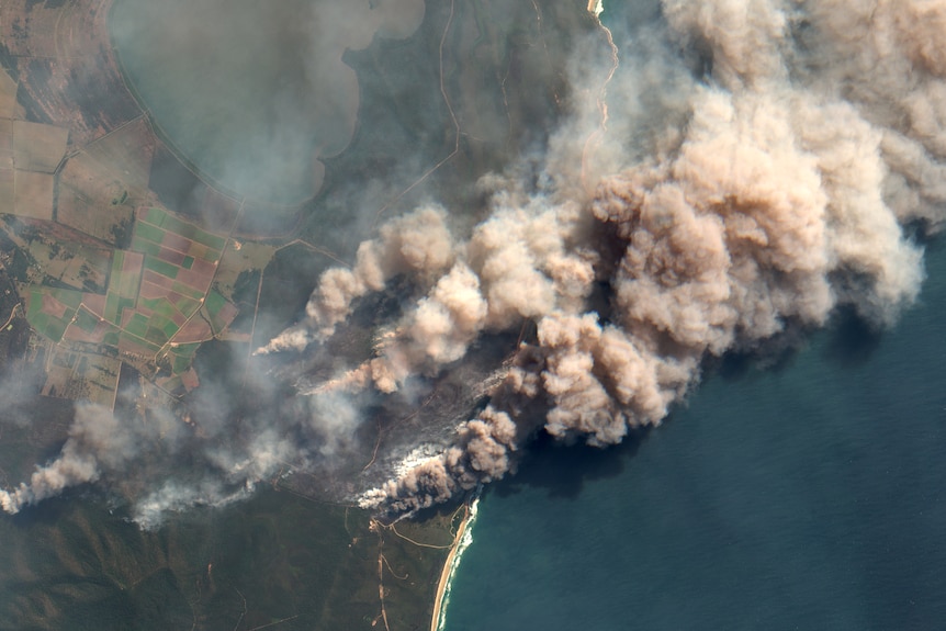 Satellite image of bushfire smoke in northern NSW