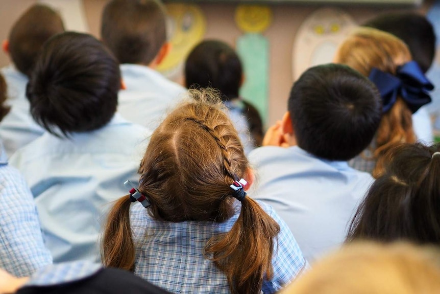 A group of school kids looking up at their teacher.