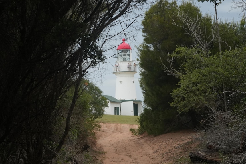 Trees arch over a path with a white lighthouse with a red rood at the end of the path